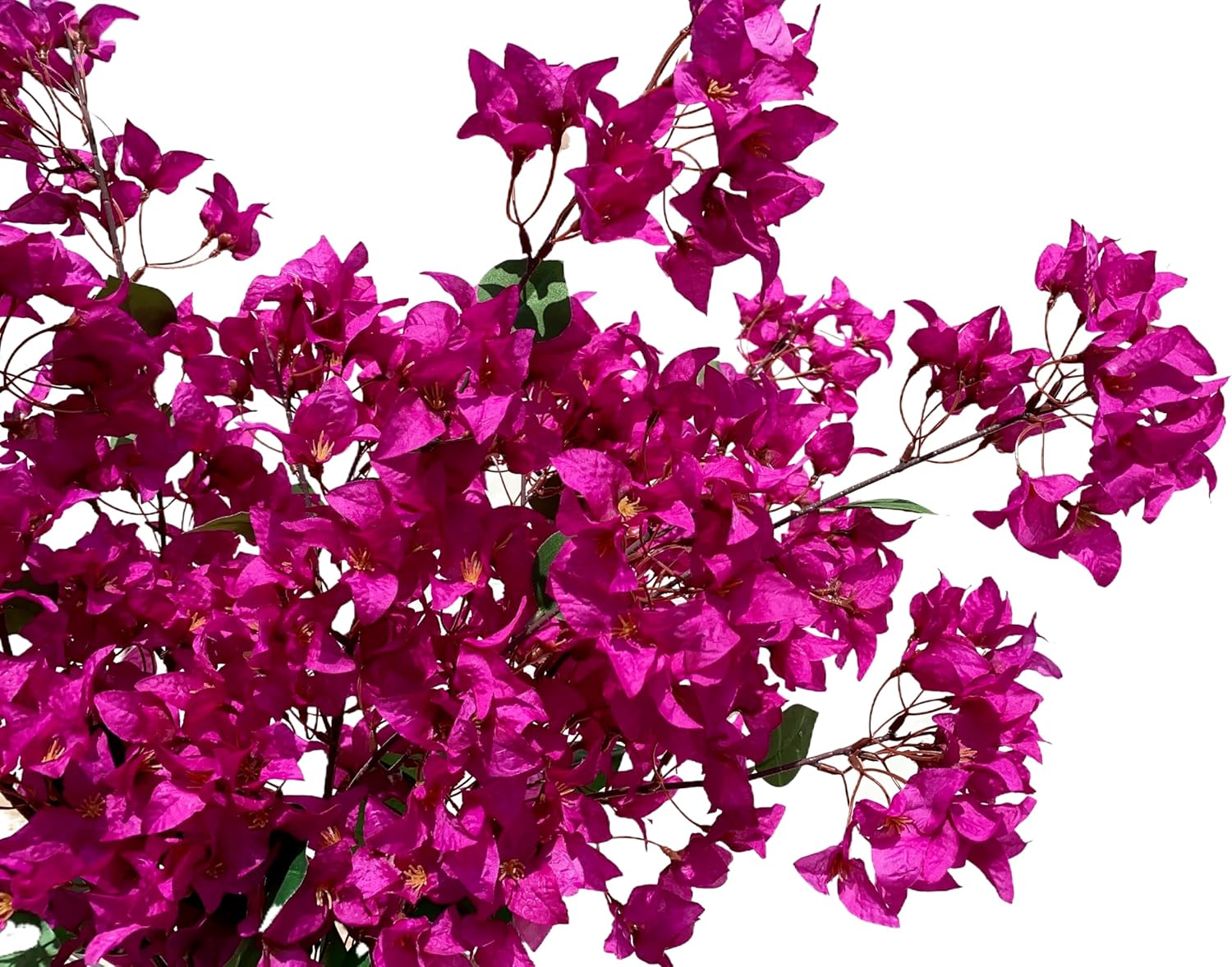 Pack of 4-45" Artificial Bougainvillea Flower Stems Silk Bougainvillea Floral Arrangement Faux Fuchsia Violet Flowers for Home Wedding Indoor Outdoor Decor (Violet) - Image 3