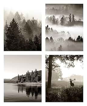 自作，日本の風景画 モノクロ 絵画 フレーム付き Amazon.co.jp: SRUOLOC 白黒ウォールアートプリント:8x10