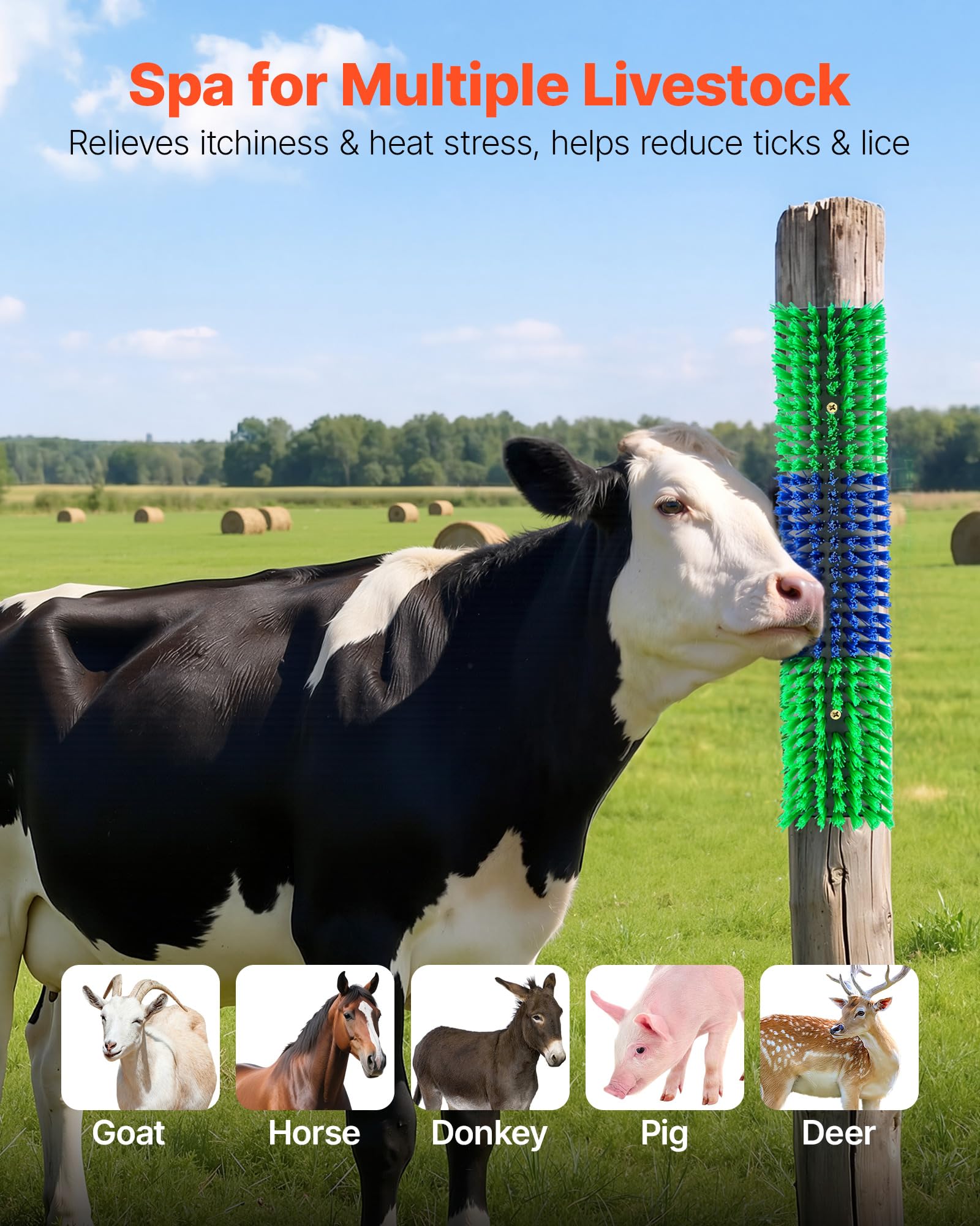 VEVOR Kratzbürste 43x10 cm, Viehbürste 4 Stk. inkl. 16 Schrauben, Rinderkratzer zur Linderung von Rückenjucken, Massage-& Pflege-Kratzwerkzeug für Pferde, Rinder, Schafe & Schweine, Grün & Blau