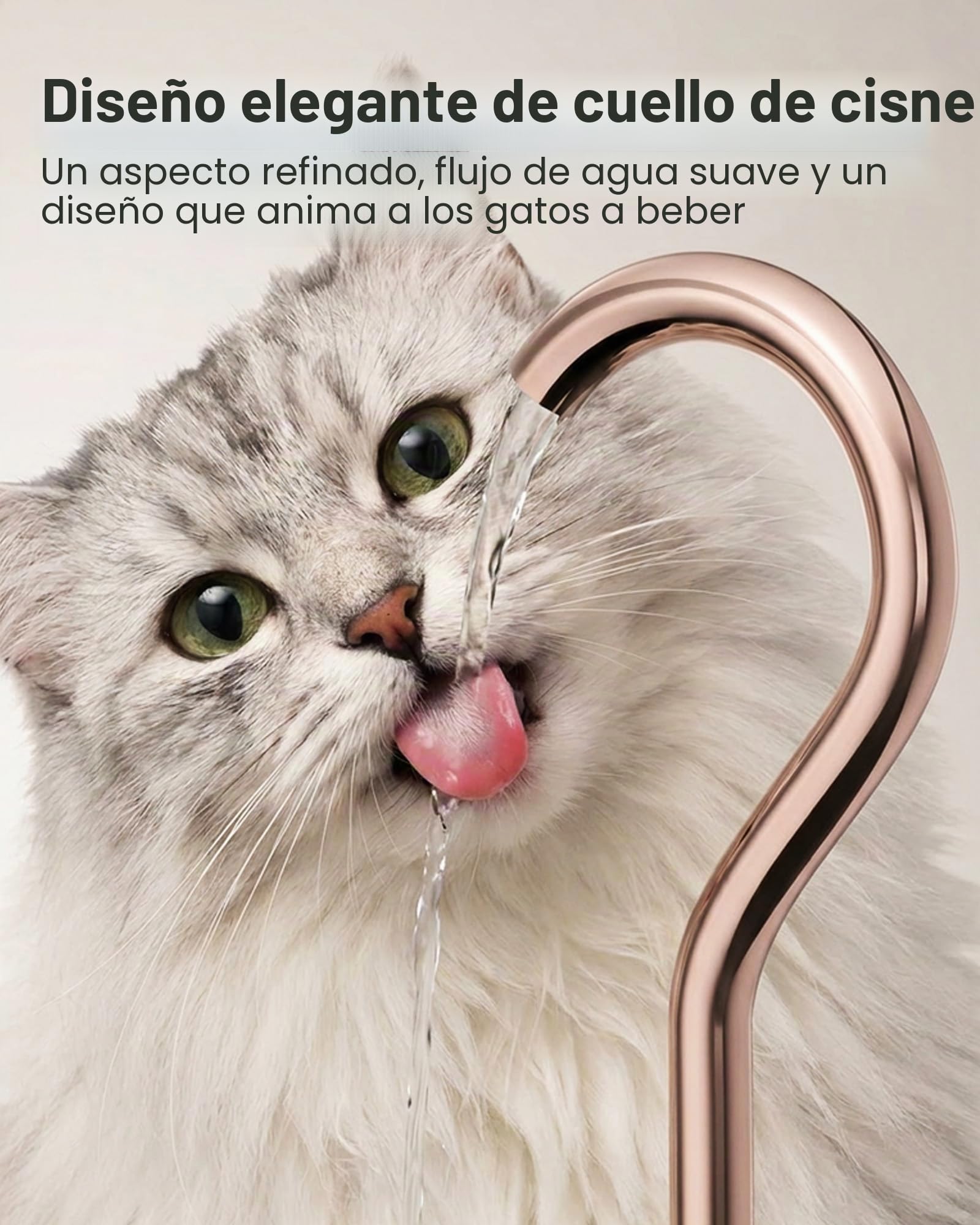 TOMXCUTE Fuente para Gatos Acero Inoxidable (Acero Inoxidable+Latón + plásticos)