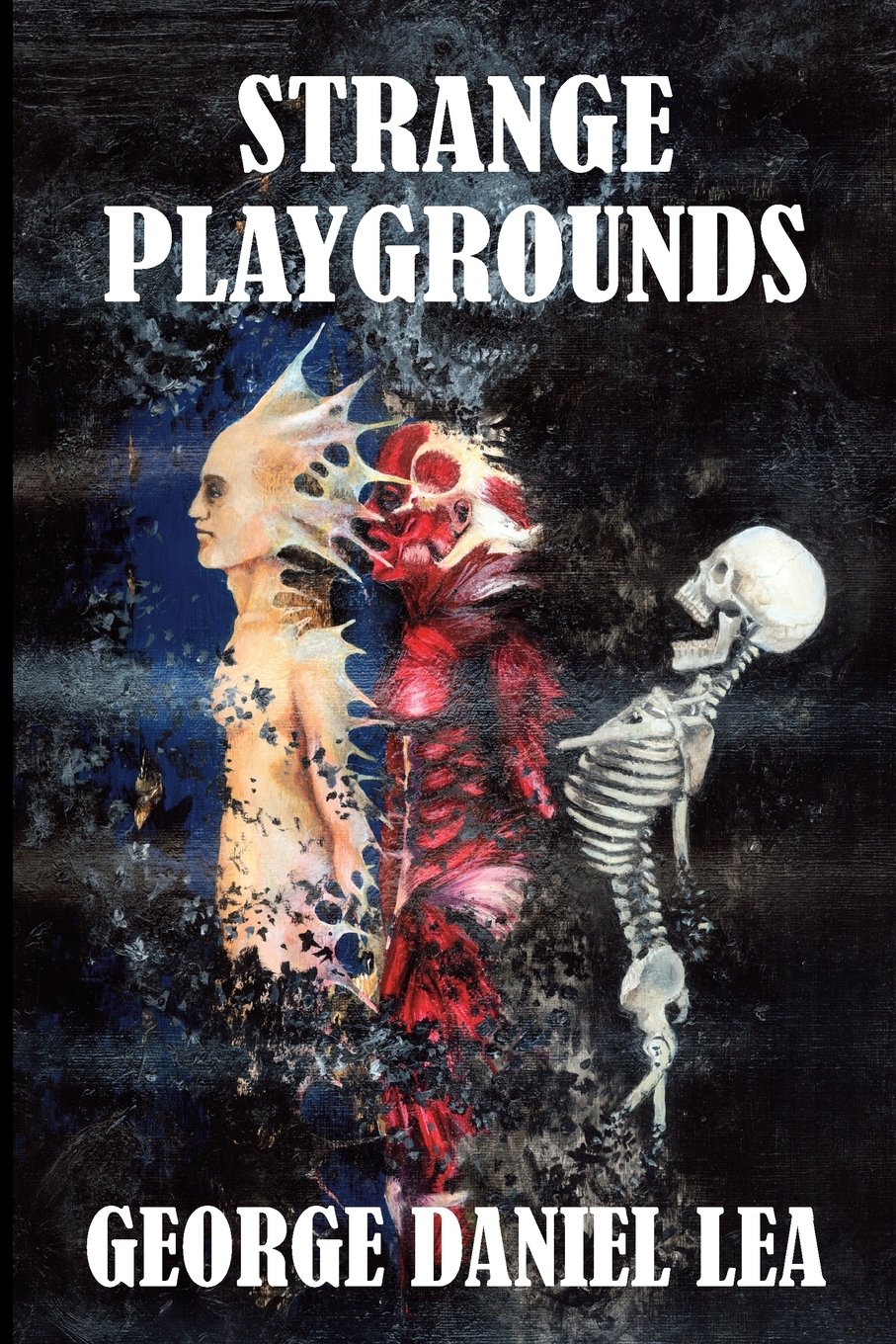Cover of Strange Playgrounds