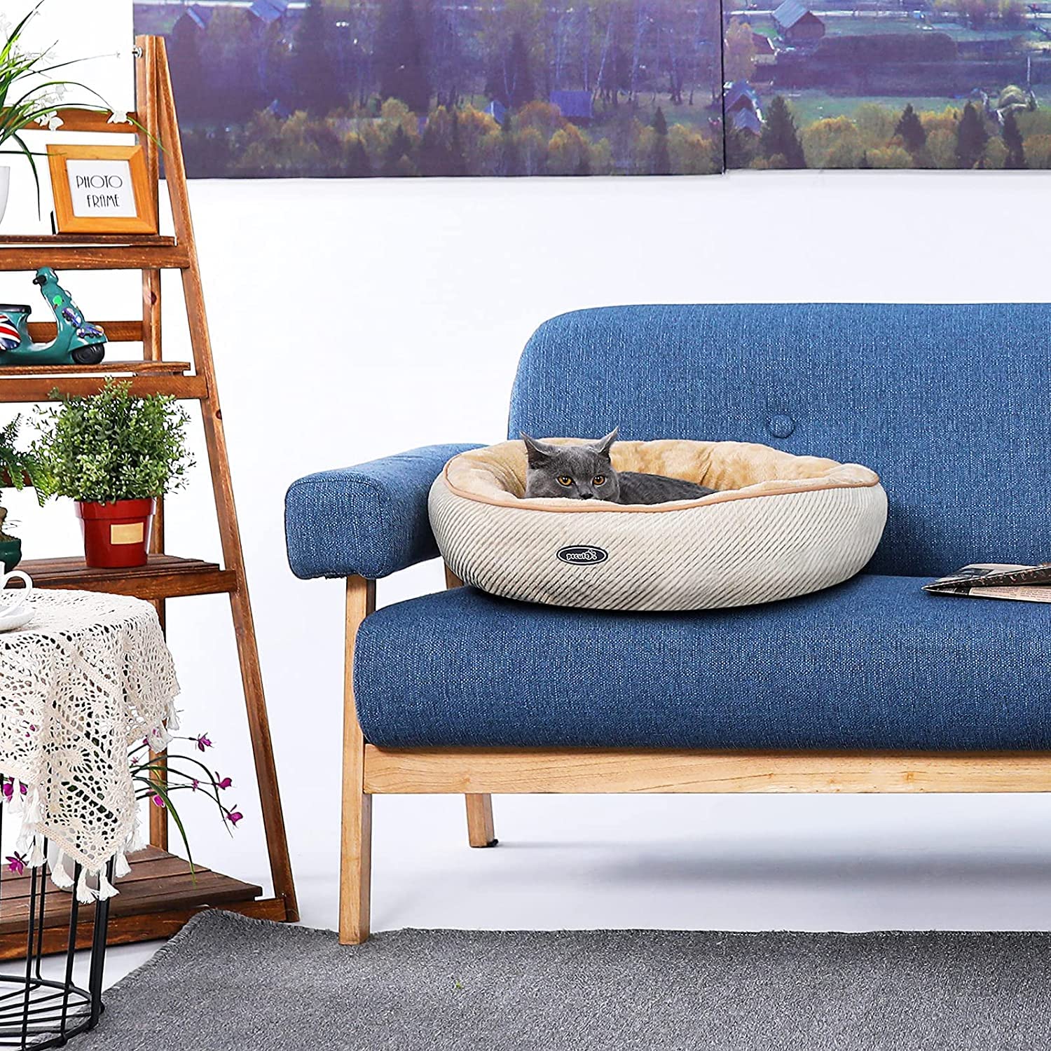 Pecute Cuccia per Cani, Lettino per Animali Domestici a Ciambella, Cuscino Centrale Sfoderabile e Lavabile, Tappeto di Peluche Morbida e Soffice, Forma di Ciambella 55 cm, M