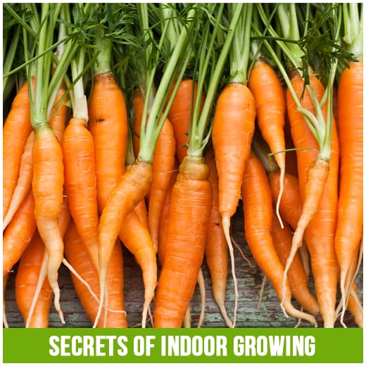 Grow Your Own Groceries