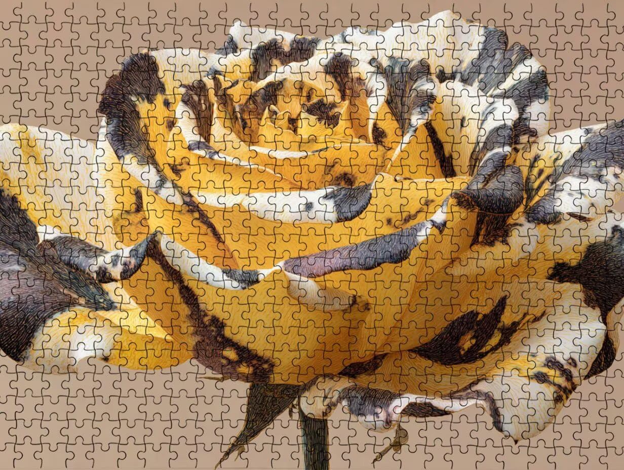 Puzzle 1000 para Adultos, Tinta Amarilla, Rompecabezas Clásicos LDYQS7-299
