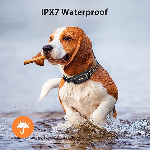 Miniatura 4 de PATPET Collar de choque para perros medianos, collar de entrenamiento para perros con control remoto, collar de choque para perros pequeños de 10 a