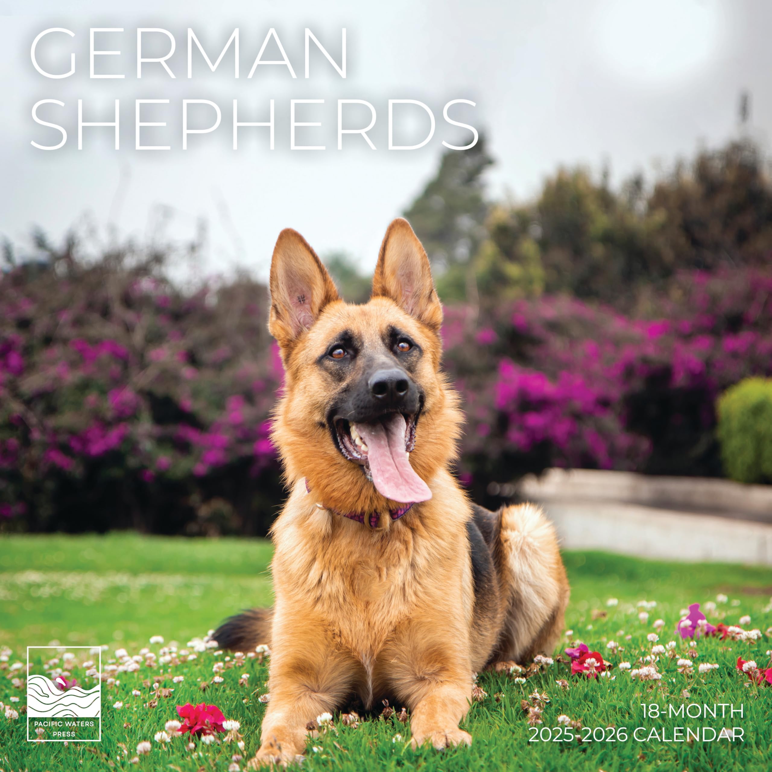 German Shepherds Wall Calendar 2026 | 12" x 24" Open | Giftable Dog Calendar 2026 | Thick & Sturdy Paper for Planning | Pacific Waters Press (German