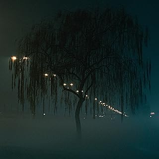 B 3 N T 3 N [Explicit]