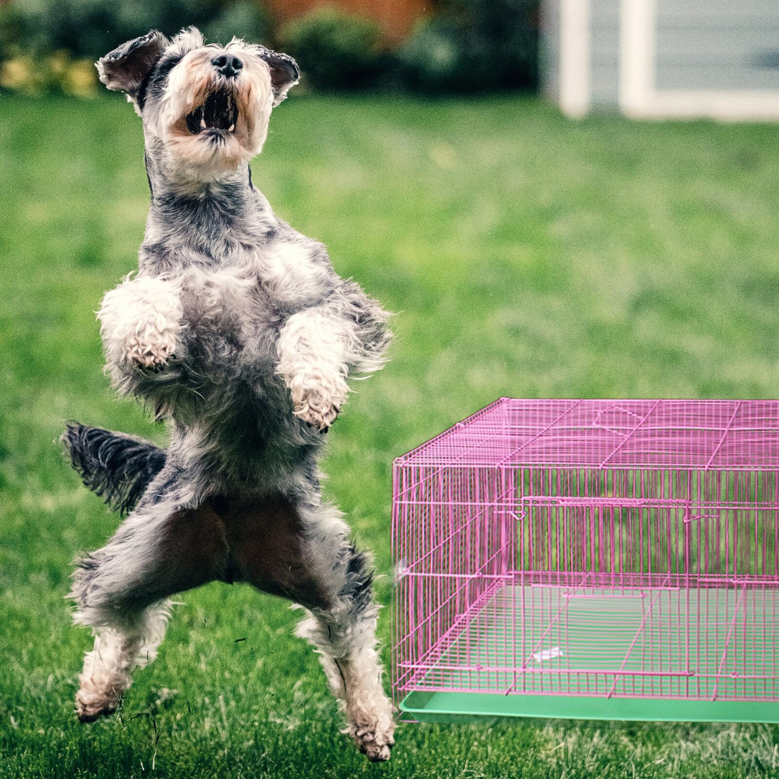 Fondo per Gabbia Coniglio Vaschetta Pet Tray in Plastico Verde Resistente a Usura e Macchie per Gabbia di Animali Domestici
