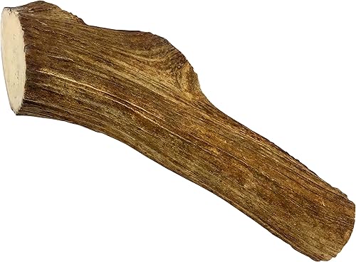 Miniatura 8 de Cuernos de alce de grado A totalmente naturales de alta calidad para perros, sin aditivos, sin conservantes, fabricadas en Estados Unidos (SM)