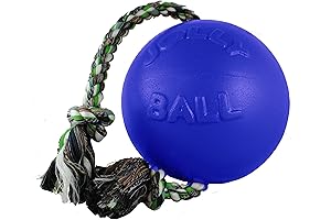 Jolly Pets Romp-n-Roll Blue Heeler Dog Toy