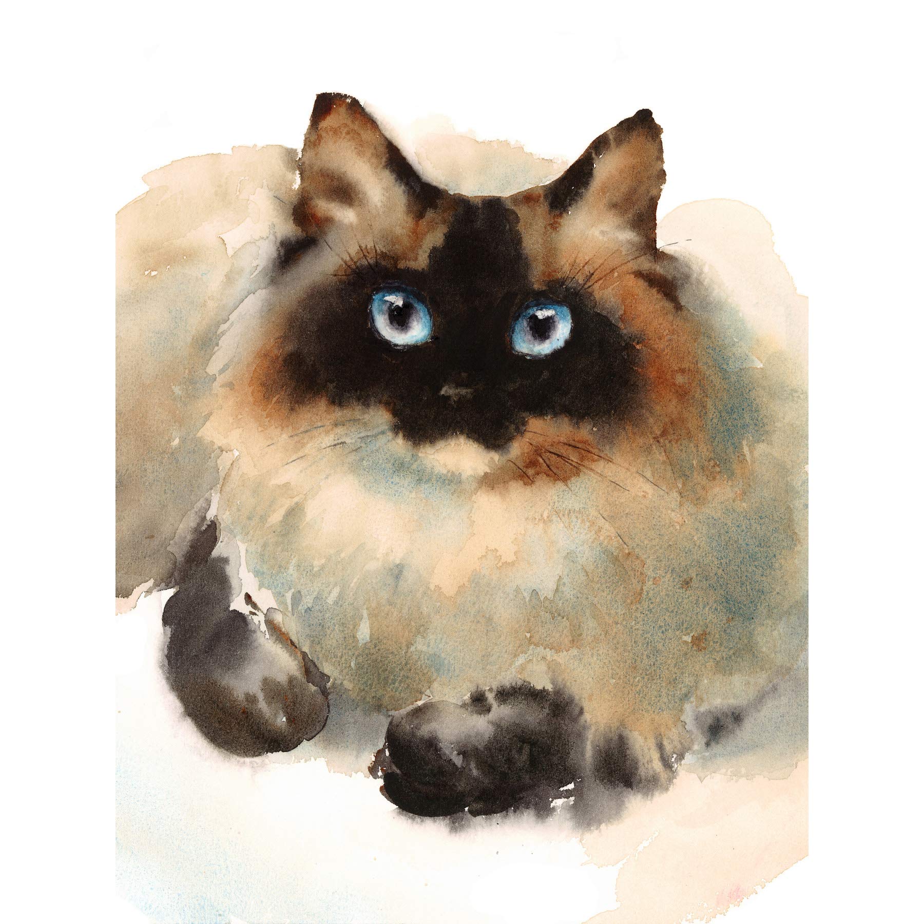 Wee Blue Coo Cat Ragdoll Face Watercolour Art Print Poster Wall Decor