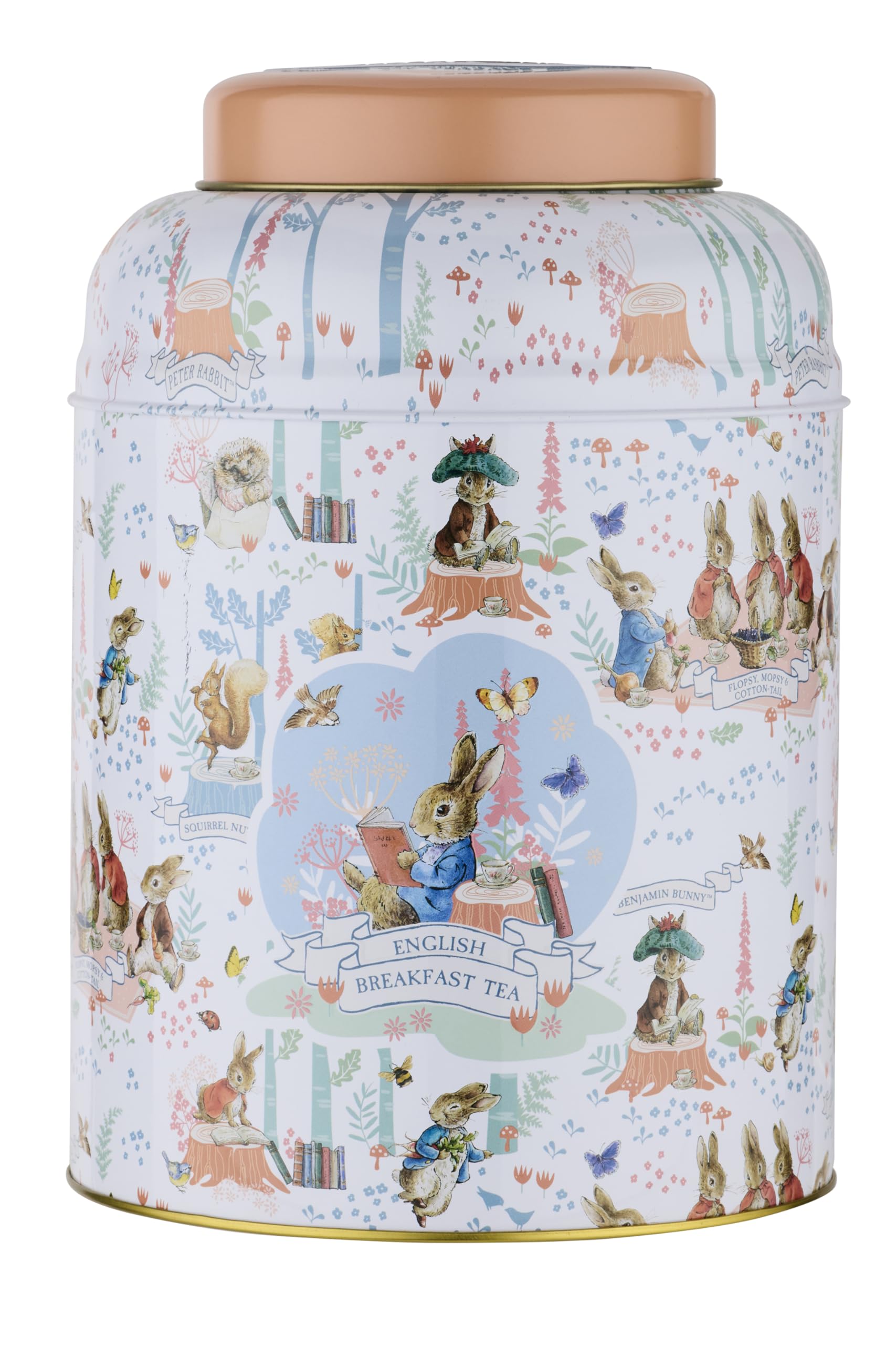 New English Teas Peter Rabbit Woodland Picnic Deluxe Tea Caddy with 240 English Breakfast Teabags