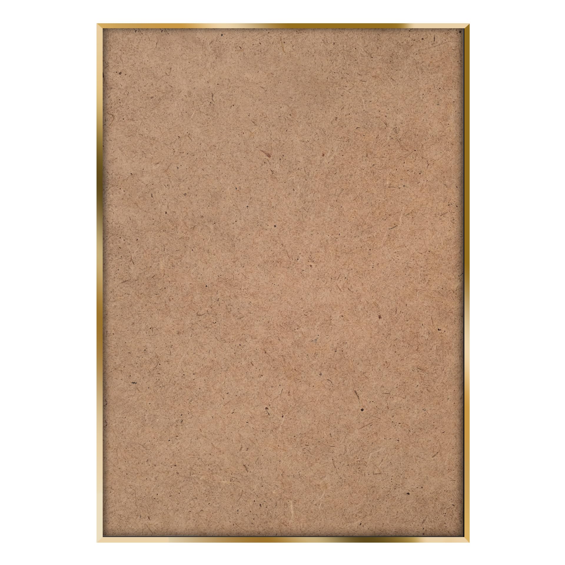 STYLER Bild Charlotte 50x70 cm (AUFHÄNGFERTIG) mit hochwertigem goldenen Rahmen – Frau mit Blumen – Exklusives Wandbild Modern Dekorativ Hochwertig Blumenkopf