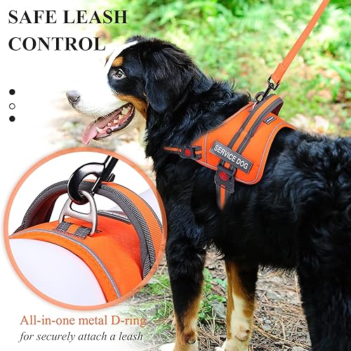 Miniatura 4 de VIVAGLORY Chaleco de servicio para perro, arnés de seguridad para perro sin tirones con asa acolchada y clip para correa, chaleco reflectante