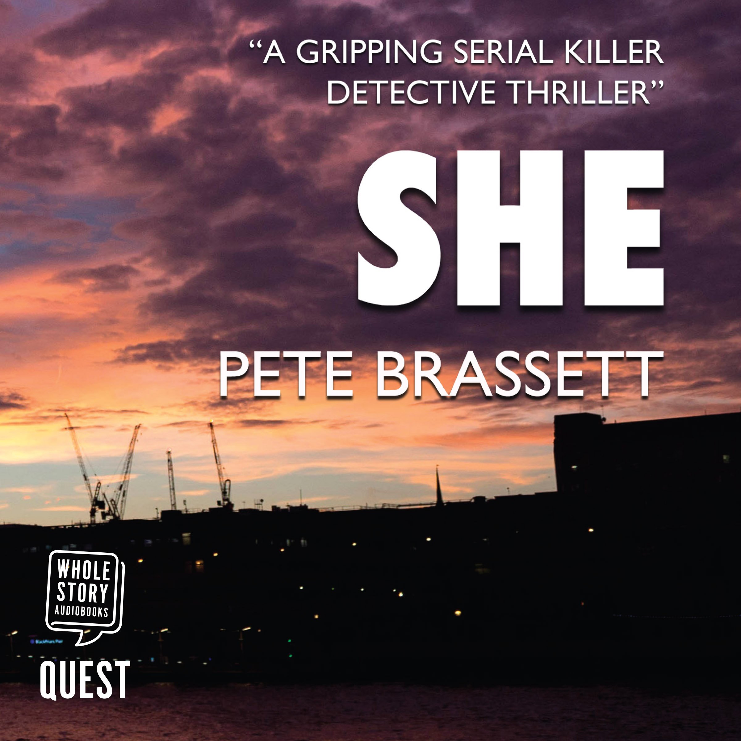 Cover art for She