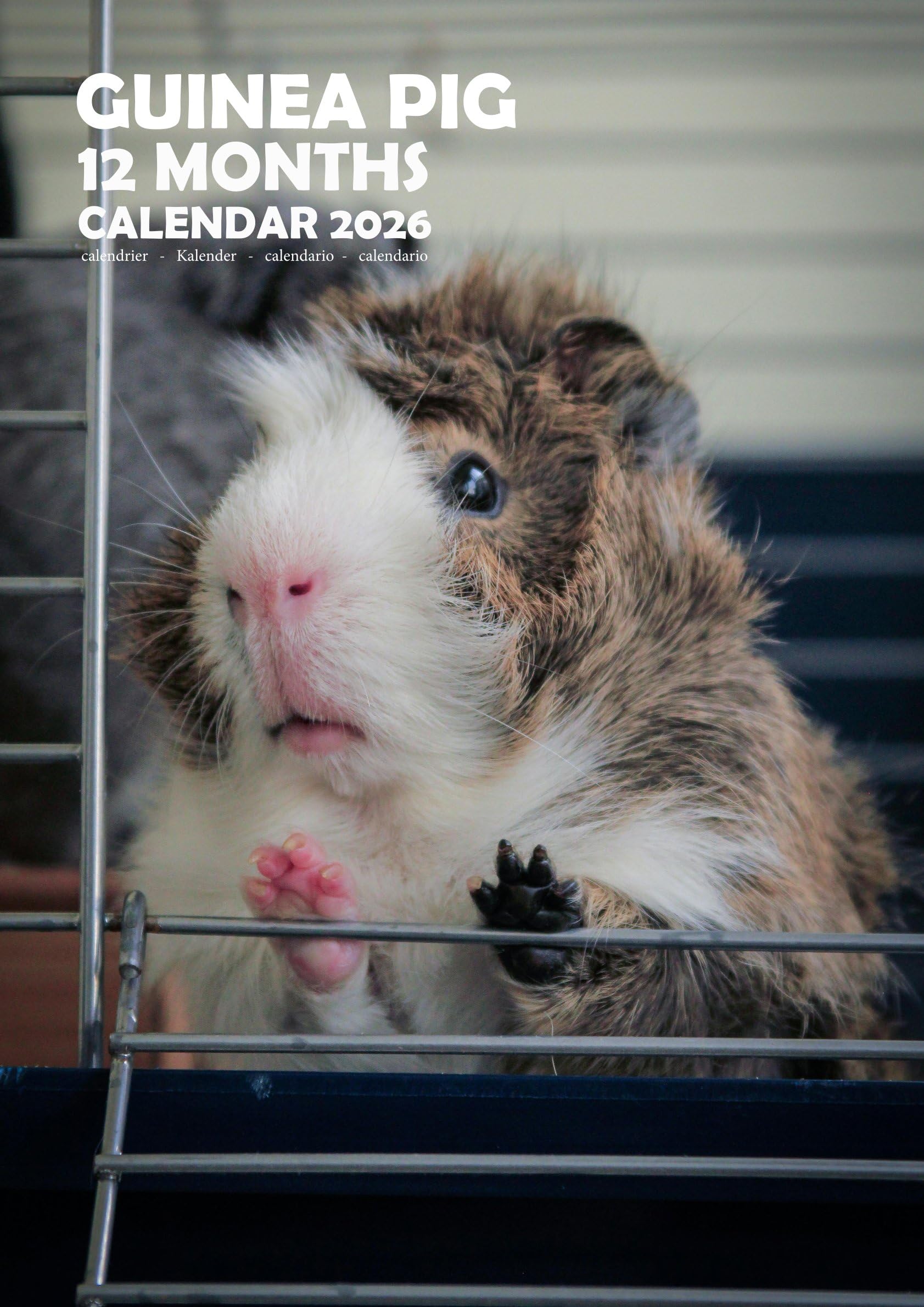 Guineapigs/Guinea pigs 2026 Calendar, A3, Wirobound, Full Colour, Free Pack of Calendar Stickers