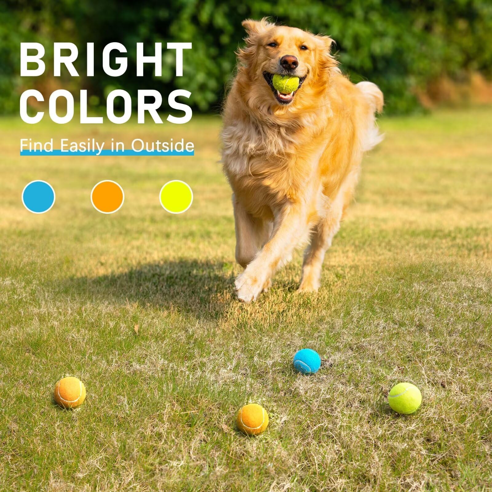 PrimePets Quietschbälle für Hunde, 6,3 cm Hundespielzeug, interaktives Hundespielzeug, Tennisbälle für drinnen und draußen, Quietschspielzeug für mittelgroße und große Hunde