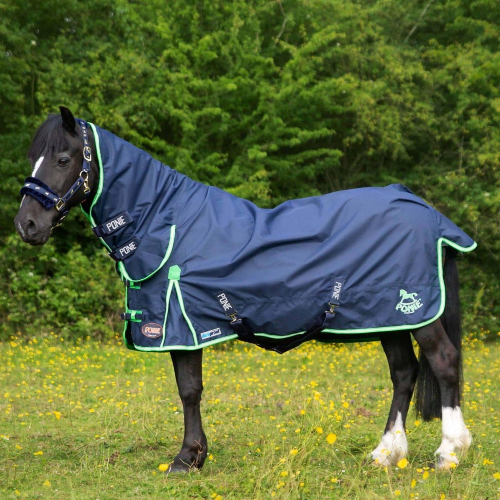 Gallop PONIE Duraproof Lightweight Turnout Combo, 4ft3