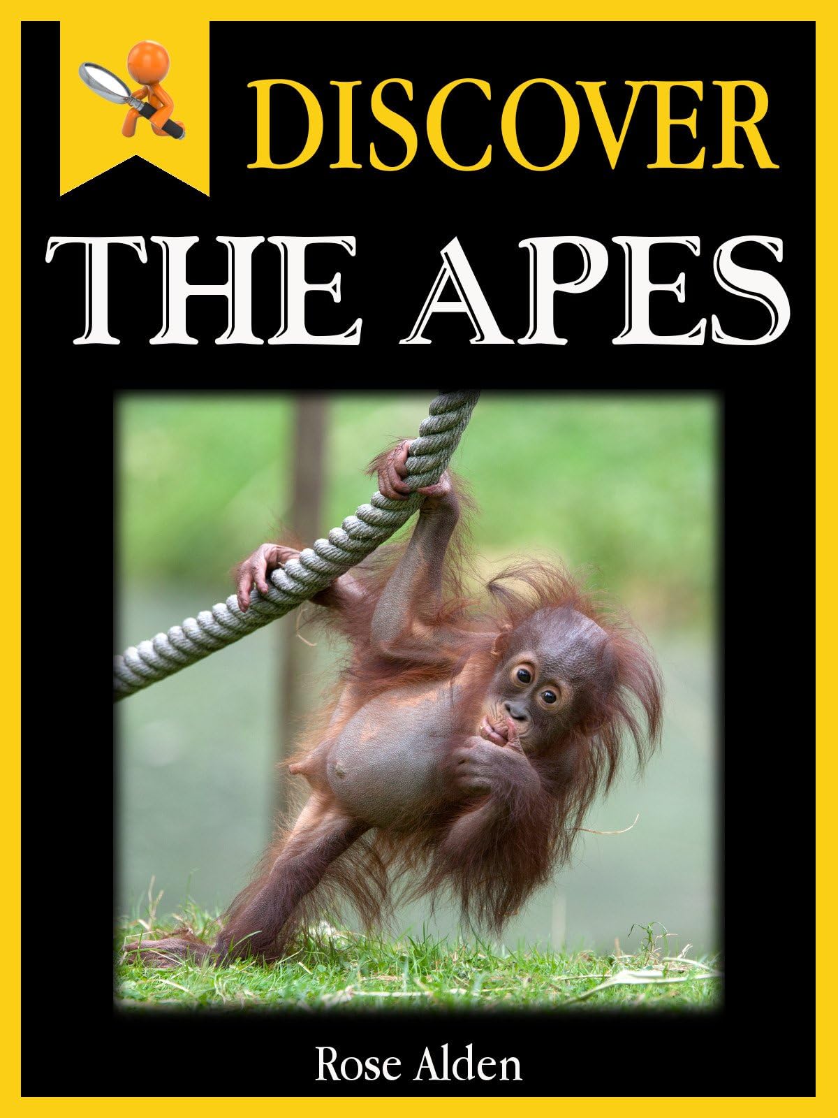 Discover The Apes - Fun Facts For Kids Kindle Edition