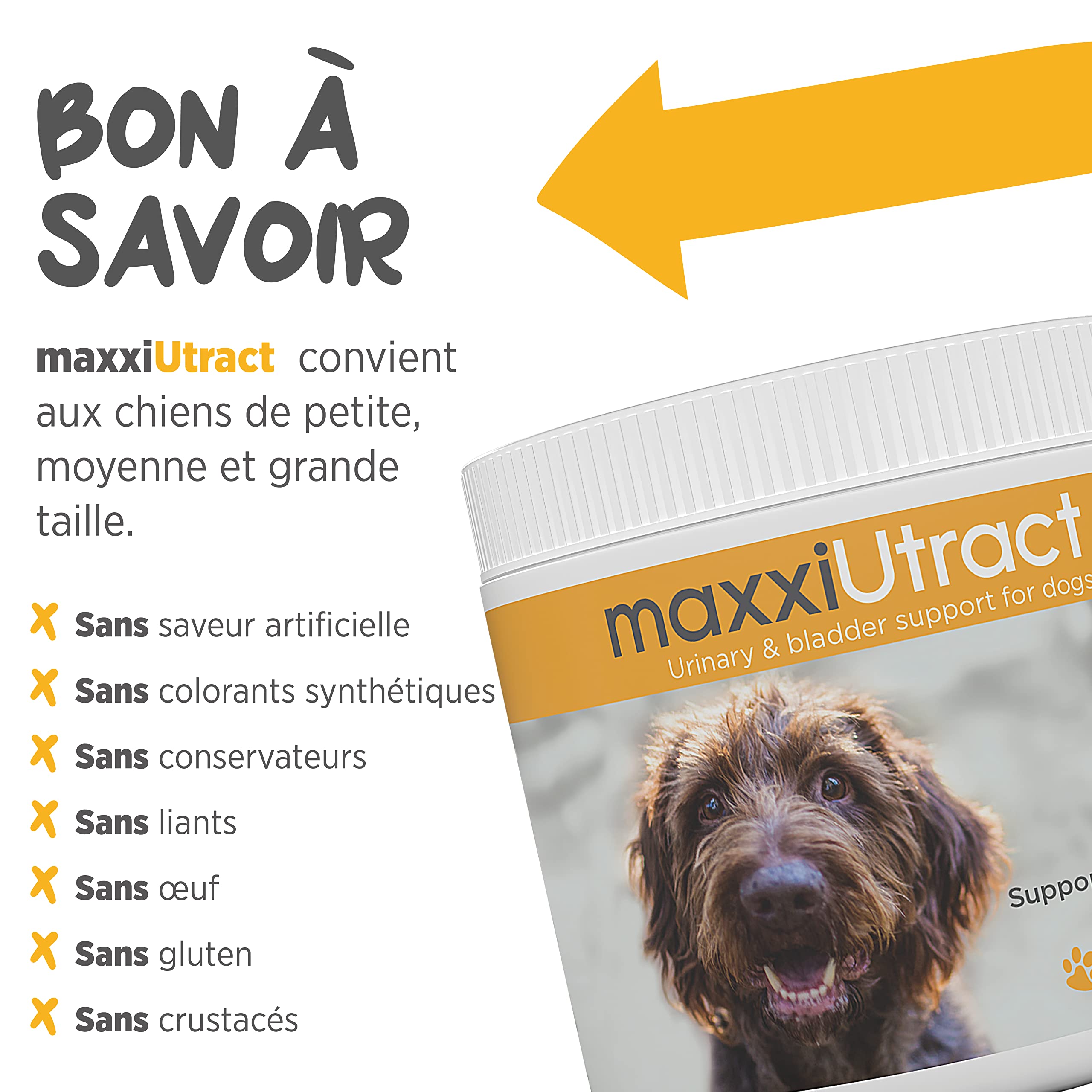 maxxipaws – maxxiUtract Canneberge Complément Alimentaire Urinaire pour la Vessie des Chiens – Supplément Canin pour Le Contrôle de la Vessie et la Santé des Voies Urinaires (Poudre 150g)