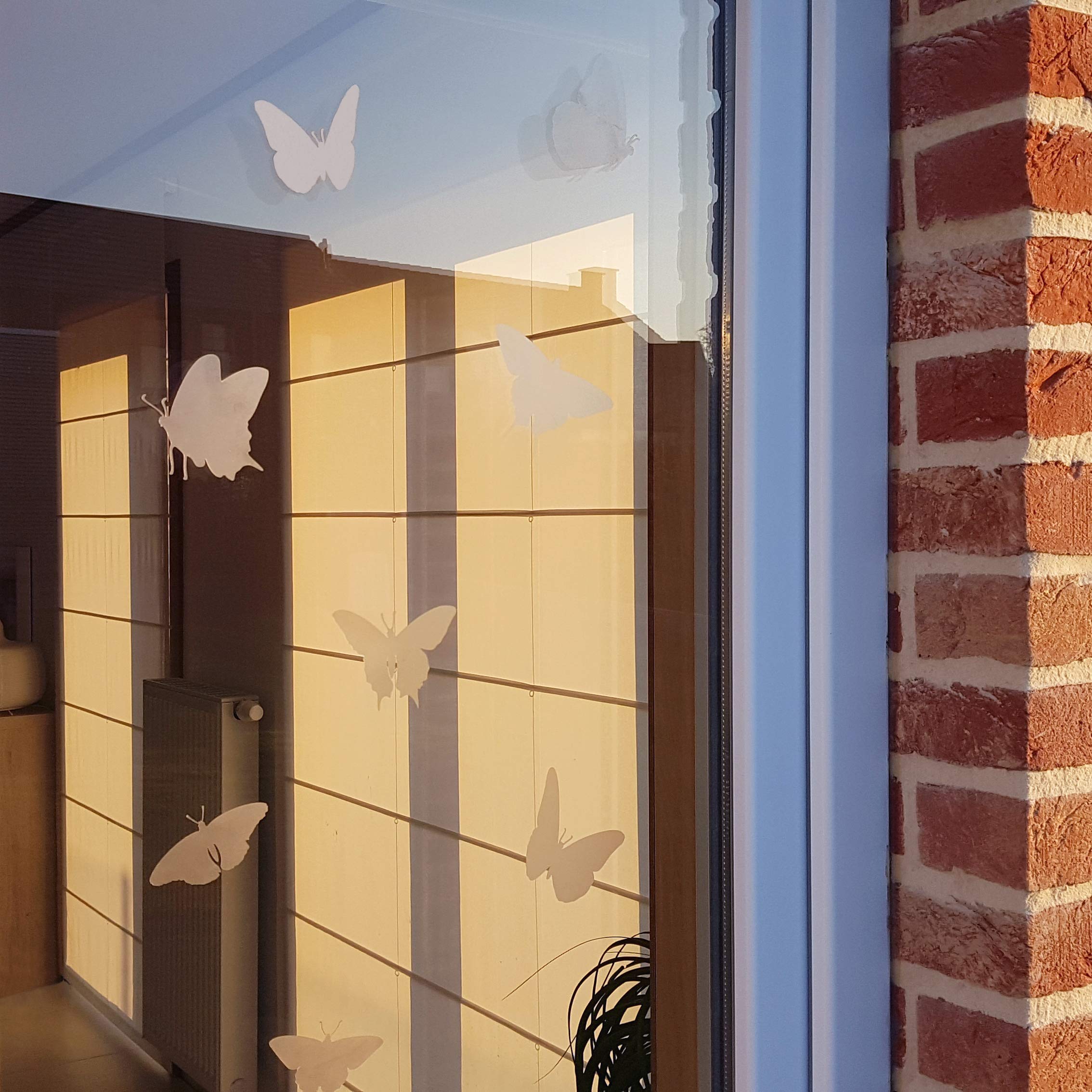 imaggge.com, Window Protection Stickers, Anti-Collision Decals to Prevent People and Bird Strikes on Window Glass - Image 4