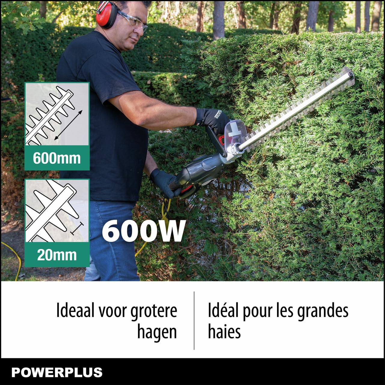 Powerplus POWPG30230 - Cortasetos, 600 W, 600 mm