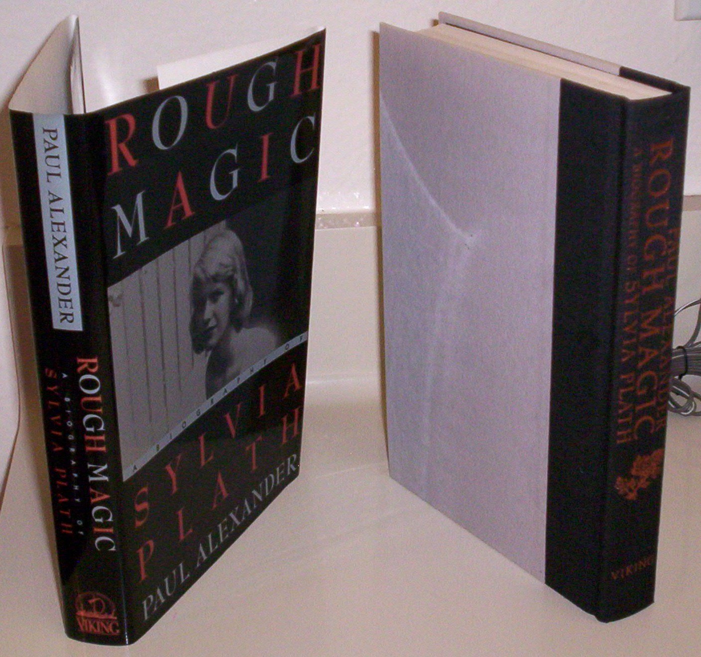 Rough Magic: A Biography Of Sylvia Path