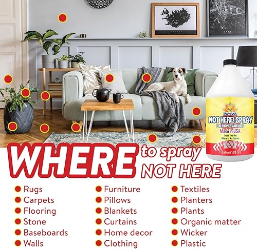 Vista 35 de Bodhi Dog Espray de manzana amarga ayuda natural para el entrenamiento de perros y cachorros, disuade a los perros de masticar y morder, hecho