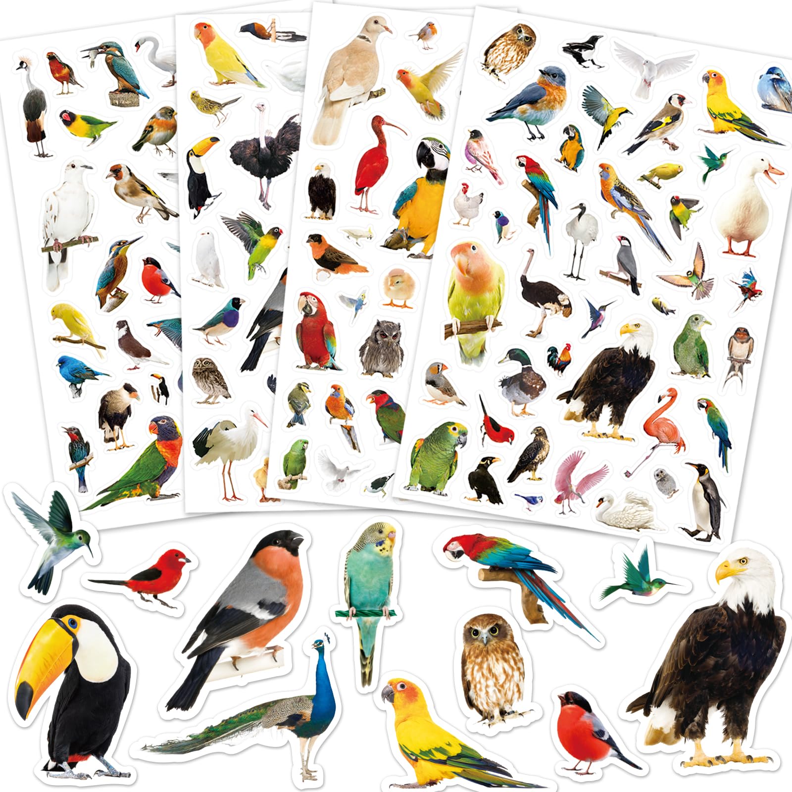 Findfunfine Birds Bird Stickers 1000+ Tropical Animal Parrot Flamingo Stickers Party Favors Gifts Decor For Scrapbook Calendar Planner Gift Wrap Decor Teacher Must Have