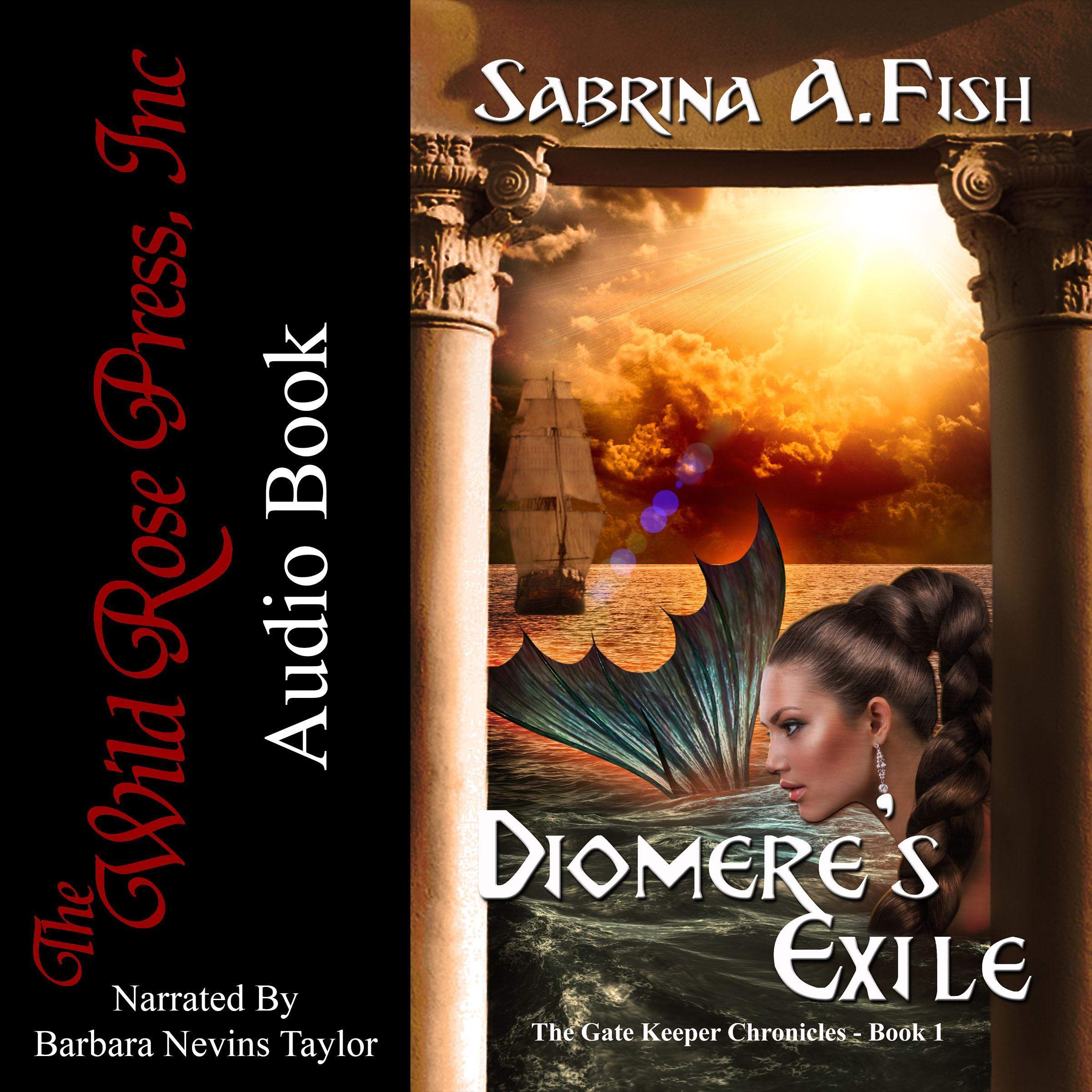 Cover art for Diomere’s Exile