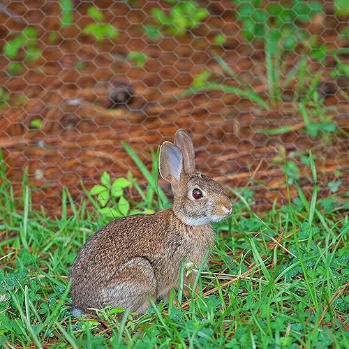 Miniatura 42 de Alambre de pollo de 13.7 pulgadas x 236 pulgadas, malla galvanizada hexagonal para valla de jardín para cercas de conejo y pollo