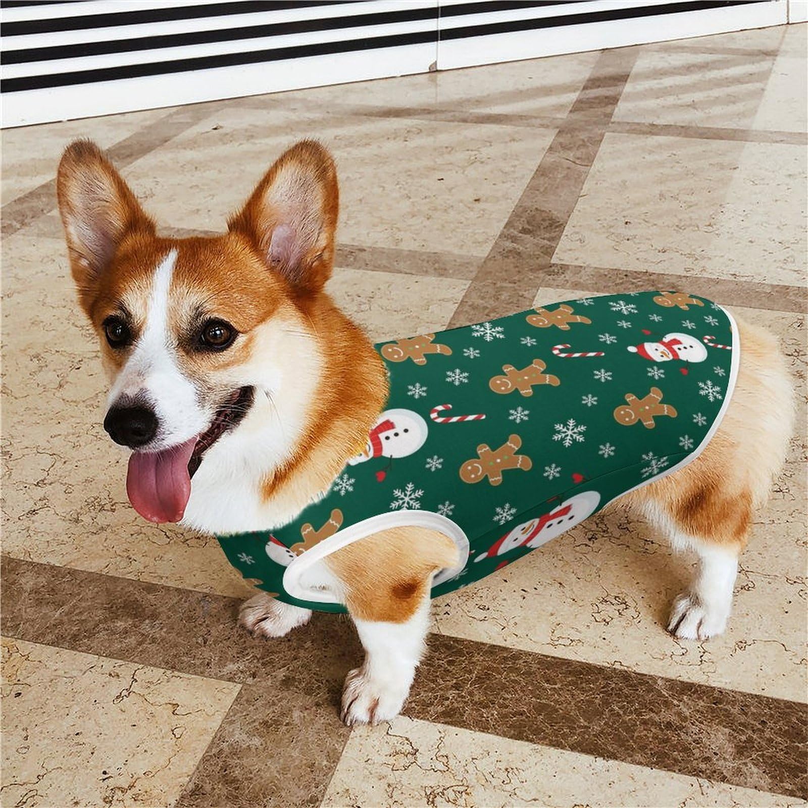https://m.media-amazon.com/images/I/81I3jgi-yYL.jpg