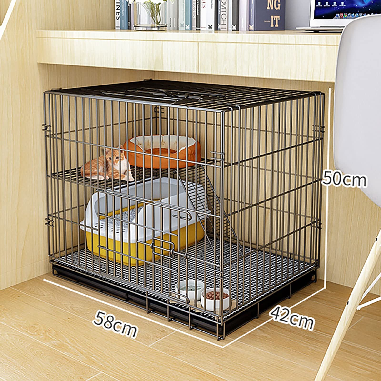 Grote Chinchilla Kooien Gezondheid En Verzorging Van De Chinchilla