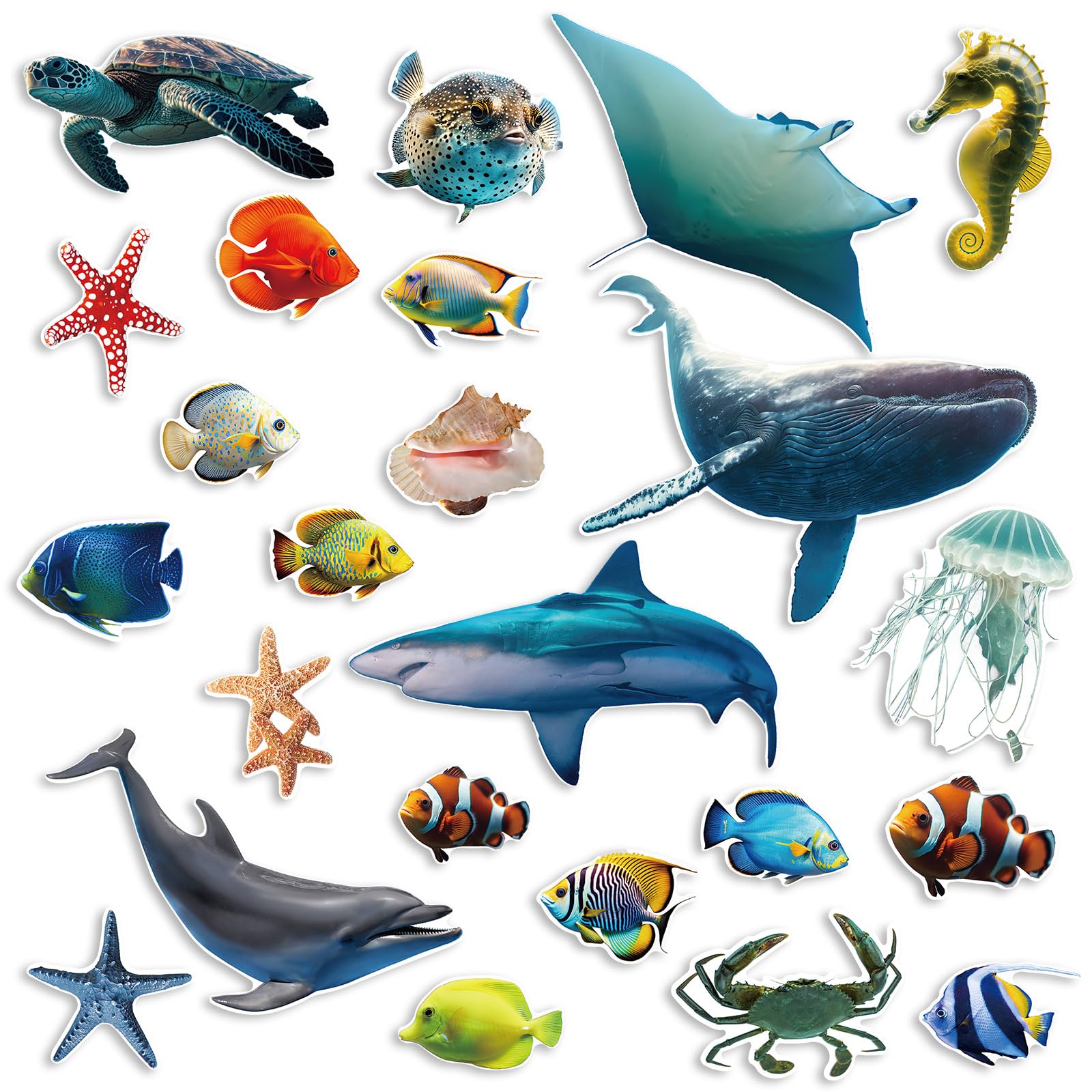 Fulmoon 62 Pcs Sea Life Cutouts Tropical Fish Cutouts Ocean Animal Classroom Bulletin Board Decorations Sharks Whales Turtles Clown Fish Seahorse