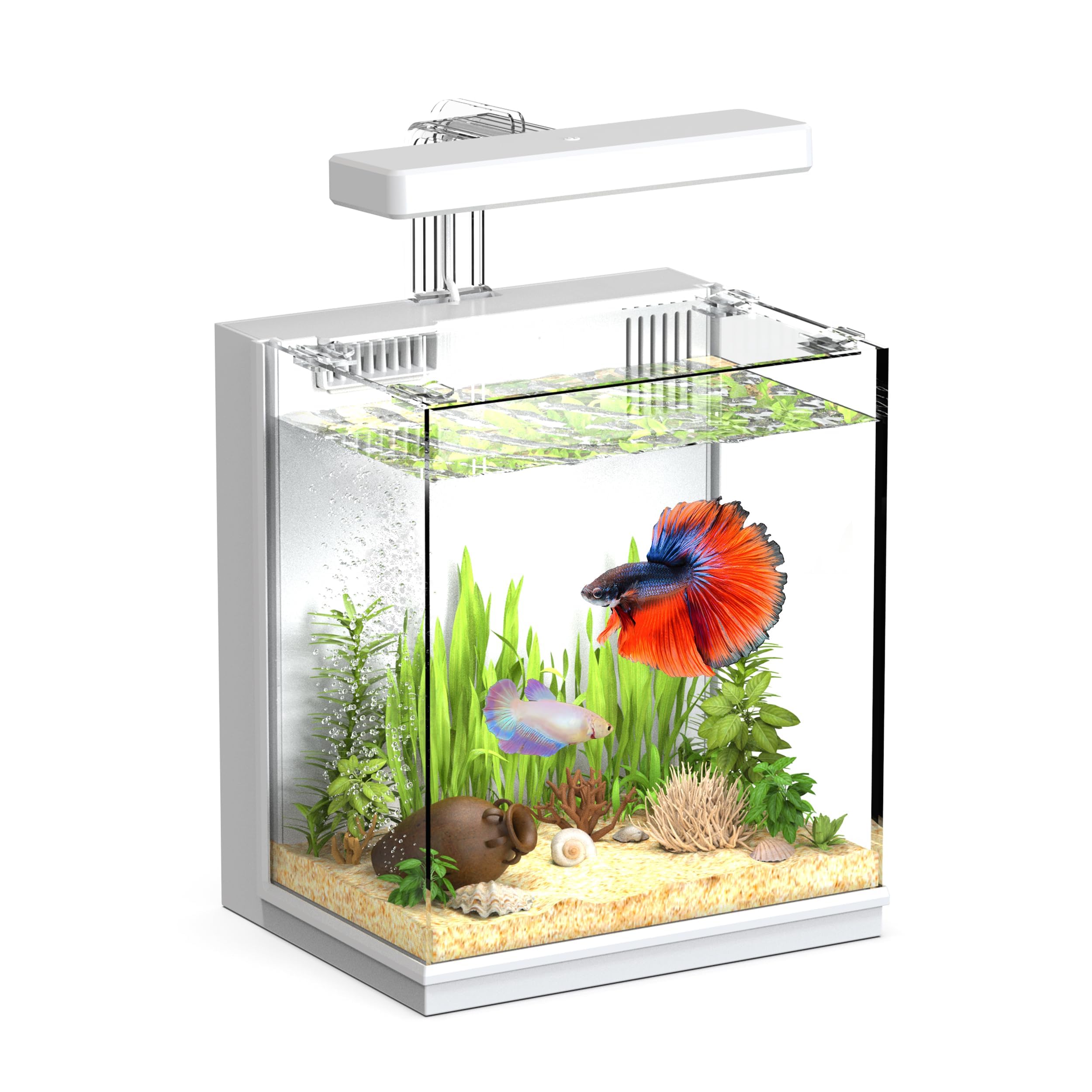 AQUASMITH Betta Fish Tank, 2 Gallon All-in-One Aquarium Kit with Filtration & LED Light, Self-Cleaning Aquarium for Beginners, Kids, Gifts for Men, Teen Boys
