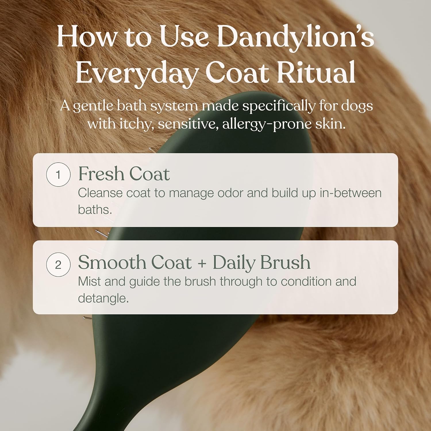 Dandylion Coat Care Trio, Waterless Shampoo, Doodle Detangler and Brush image 5