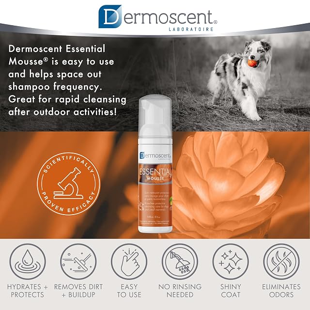 Foto 8 de 8 de Dermoscent Essential Mousse Perros Conejos Espuma Sin Aclarado Olor 150 ml