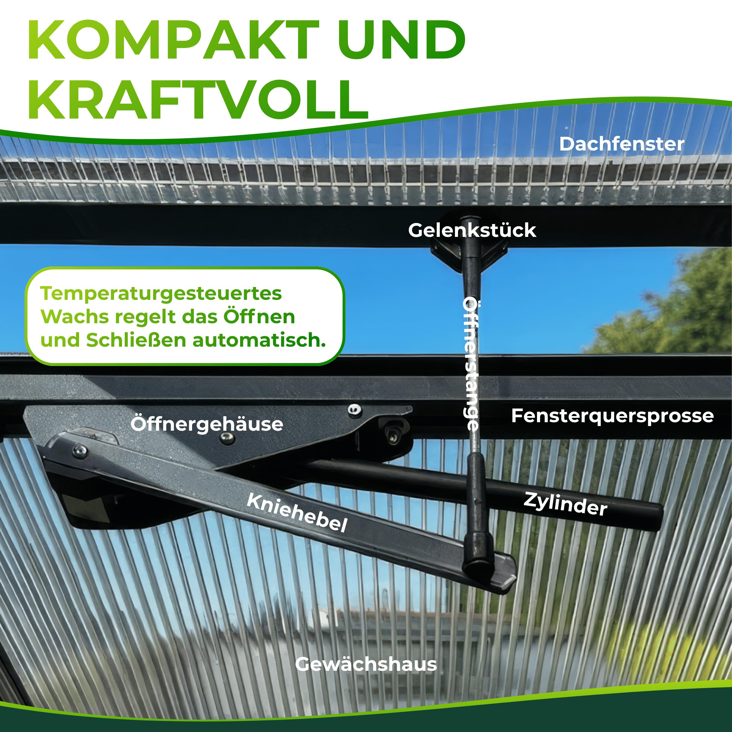 Beckmann automatischer Fensteröffner Gewächshaus ohne Strom Fensterheber ÖFA [7kg Hubkraft] Anthrazit I für Dachfenster I Gewächshaus Zubehör I Gewächshausfensteröffner I Fenster Öffner I automatisch