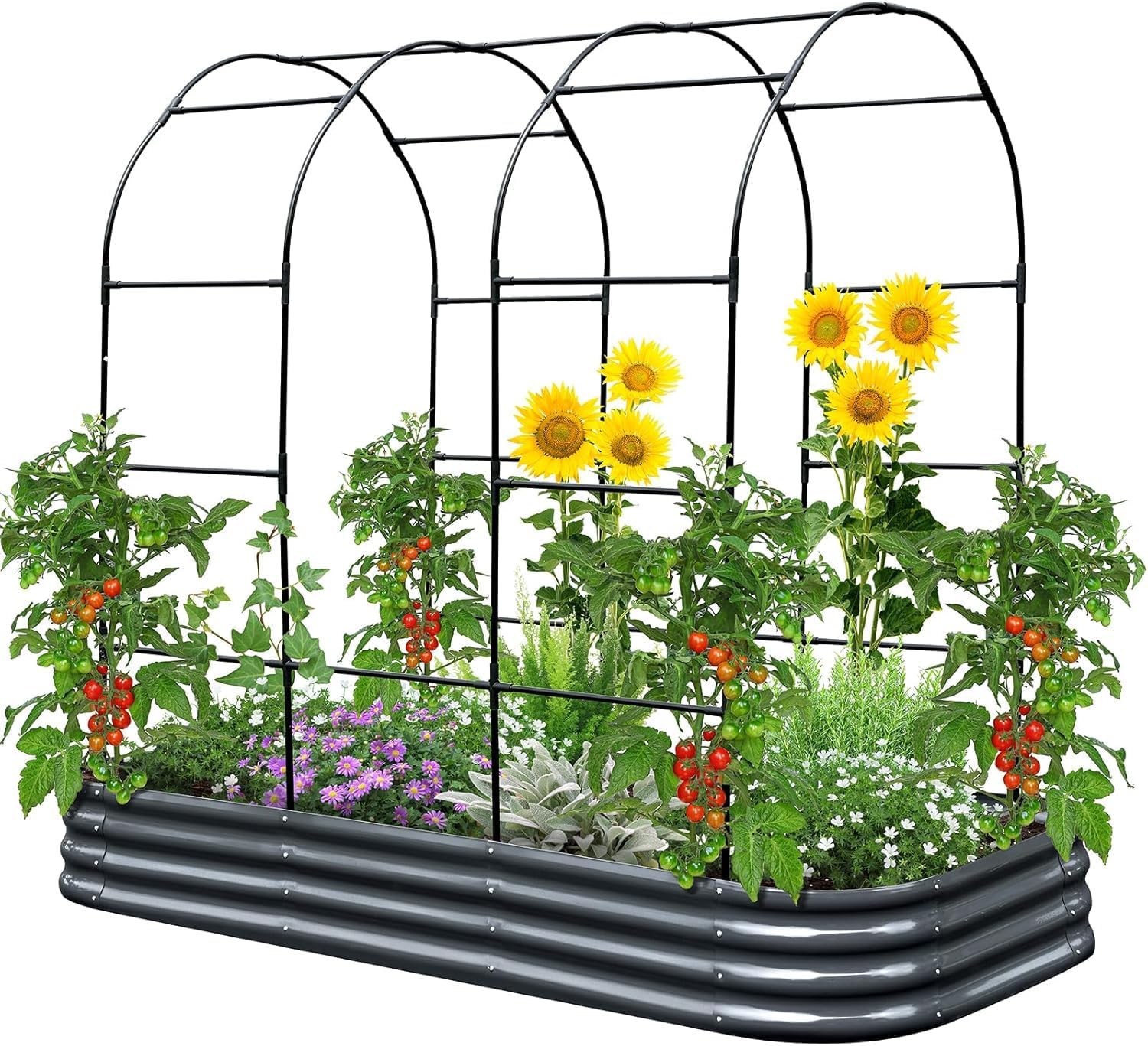 KING BIRD Walk-in Greenhouse Bundle with 8x3x1 ft Raised Garden Bed