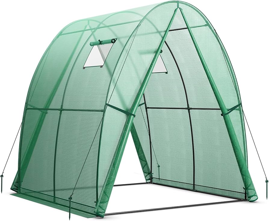 Amazon.com : Giantex 6x6x6.6 FT Greenhouse, Outdoor Wall-in Tunnel