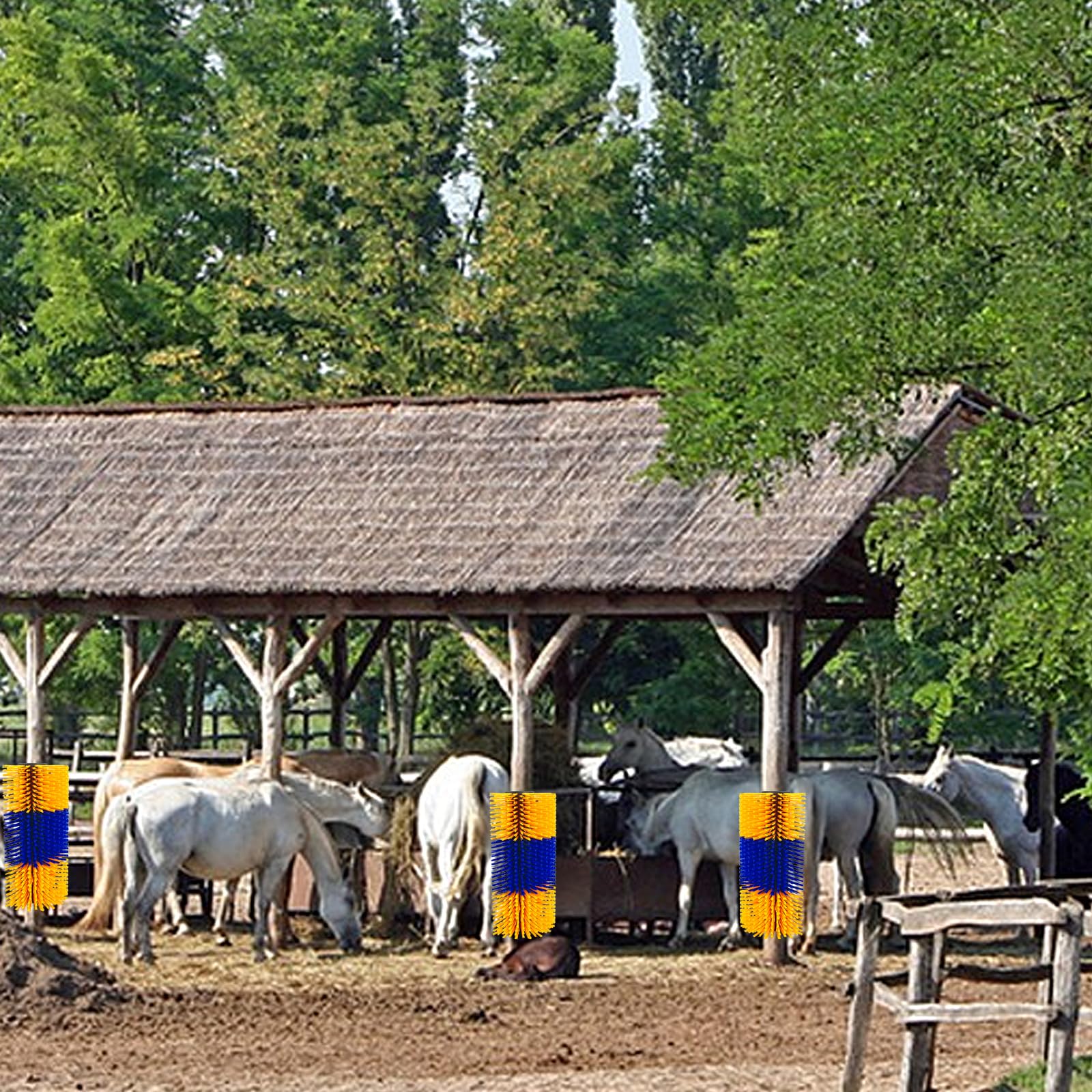 Etrille Americaine Cheval Kit Complet De Brosses De Massage Pour Chevaux, Bovins Et Moutons Set De 2 Brosse Grattoir