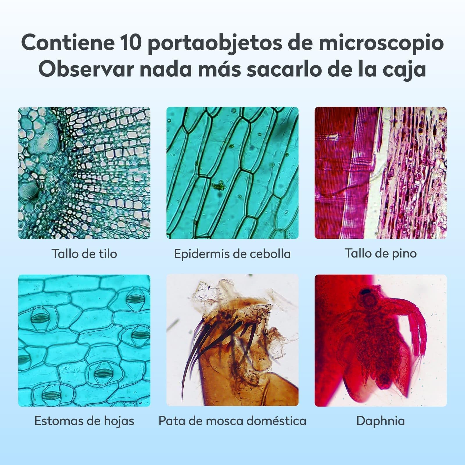 Microscopio Niños Adultos, MatataStudio MT3-4 1200x Microscopio Digital USB con Pantalla 1080P de 7" Calibrador Vernier Portaobjetos 5MP COMS Microscopios Biológico Profesional para Lab y Escolar