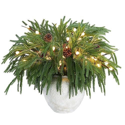 Tigeen 20 Pcs Christmas Norfolk Pine Branches with Lights Set