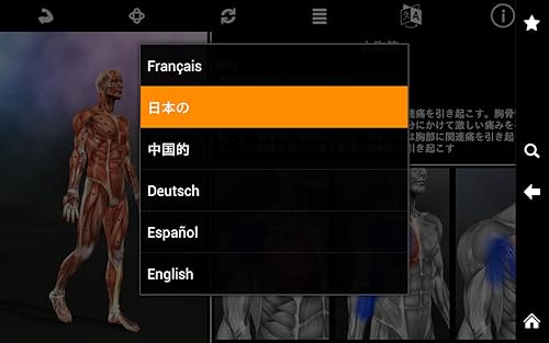 Muscle Trigger Point Anatomy
