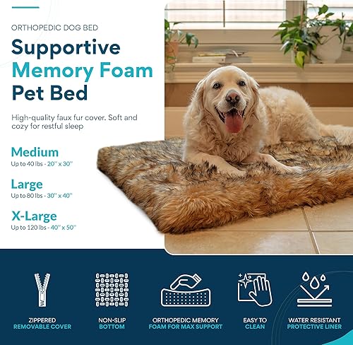 Miniatura 3 de Cama ortopédica para perros pequeños/medianos, cama para mascotas de espuma viscoelástica de apoyo con funda extraíble lavable y parte inferior