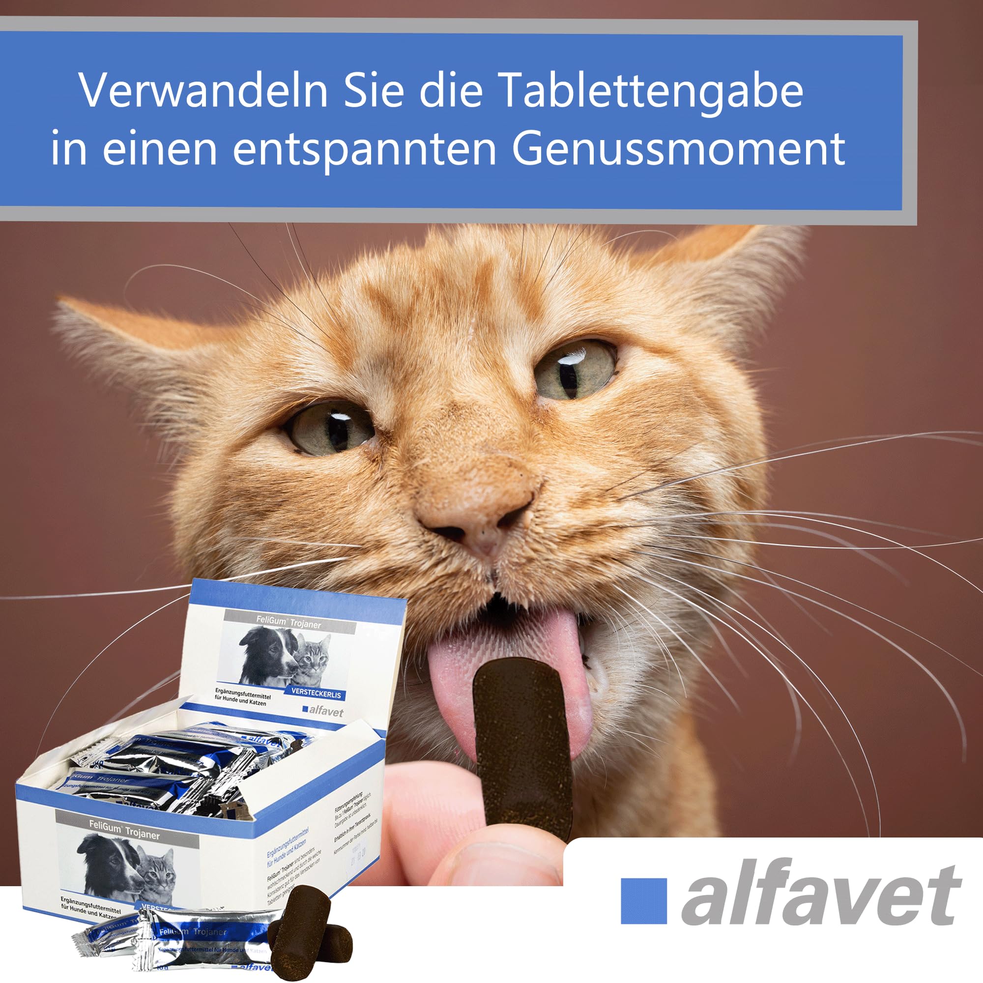 Alfavet FeliGum Trojaner, Box 30 x 10 g, Medikamentenversteck als Snack formbar, Ergänzungsfuttermittel für Hunde und Katzen