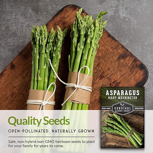 Miniatura 3 de Survival Garden Seeds - Semilla de espárragos Mary Washington para plantar - 3 paquetes con instrucciones para plantar y cultivar plantas perennes