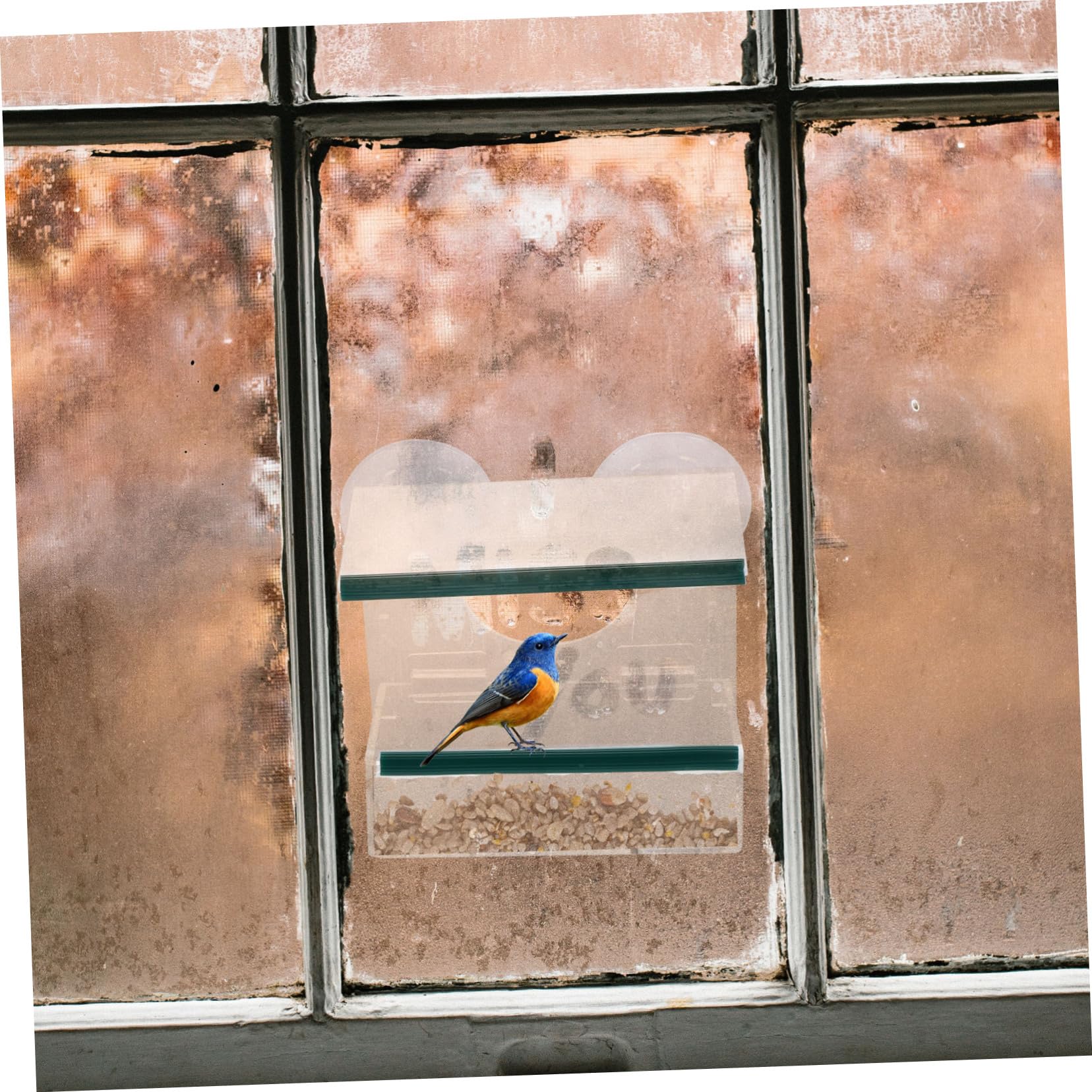 Alimentador de Pájaros Colgante Transparente con Ventosa Estación de Alimentación Resistente para Exteriores Comedero Desmontable para Pequeños Pájaros para Ventanas y Jardín