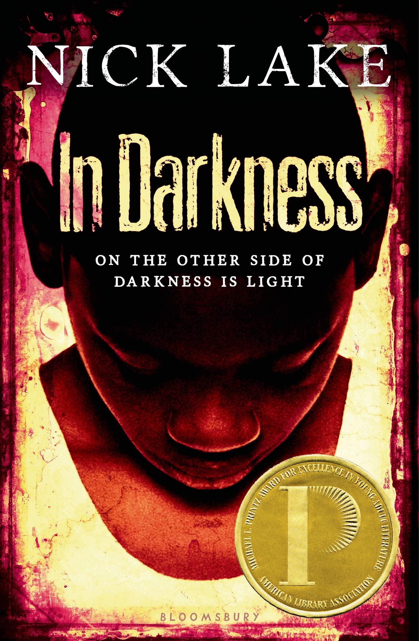Amazon.com: In Darkness: 9781619631229: Lake, Nick: Books