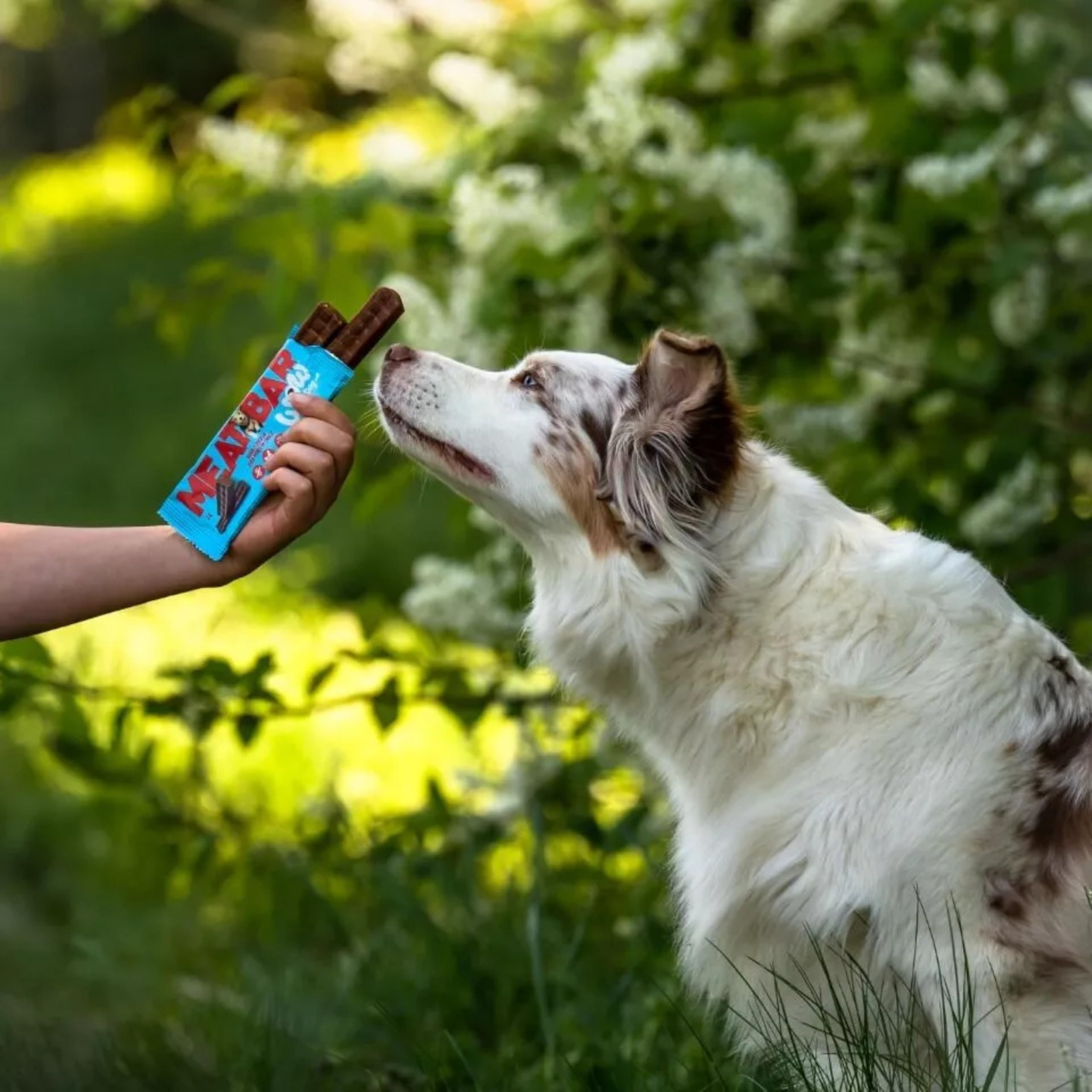 WOW Dog Meat Protein Bar Huhn 25 x 40g | ohne Getreide & Zucker